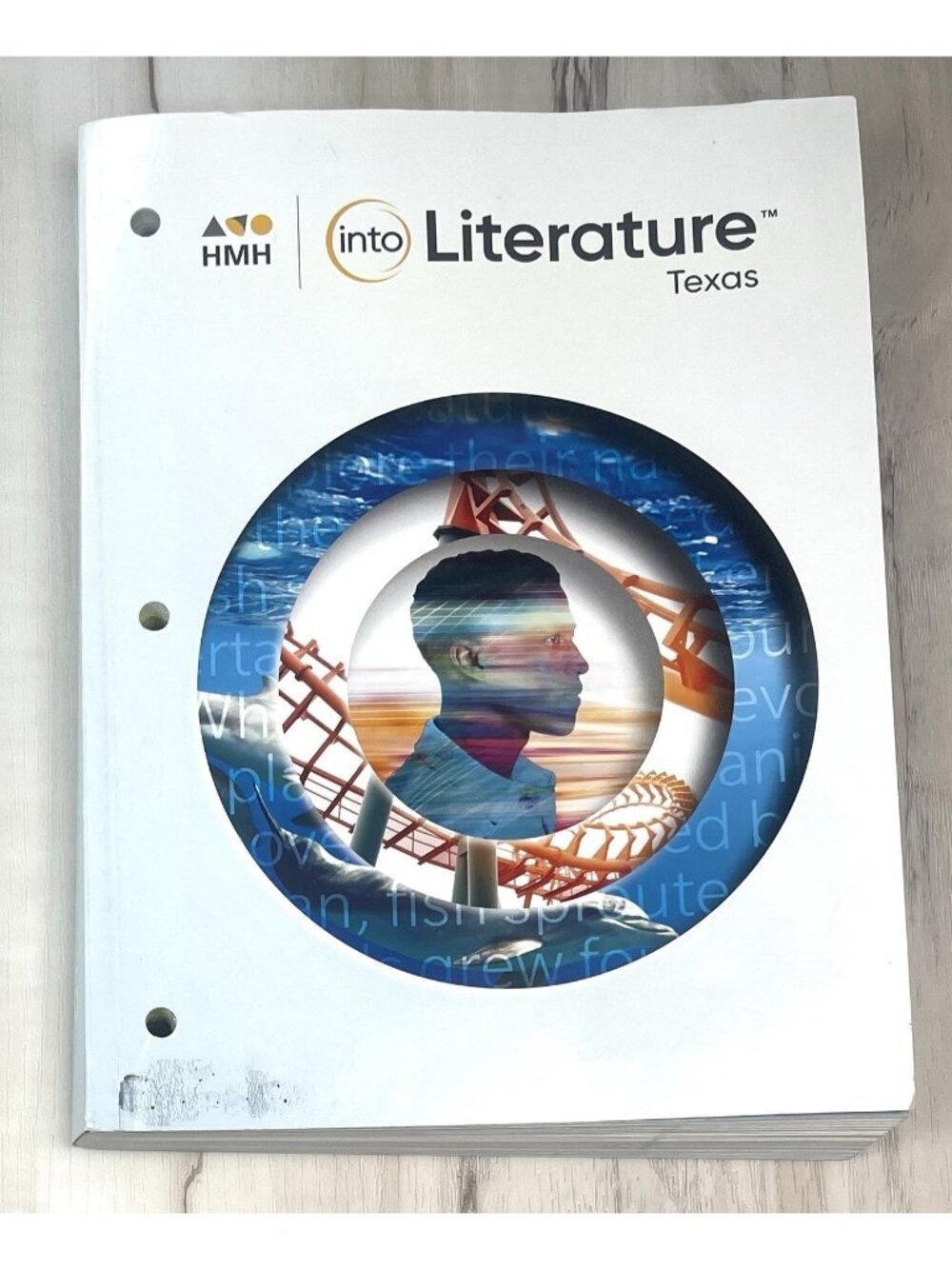 HMH Into Literature Texas Grade 6 Language Arts Homeschool Book *Highlighting*
